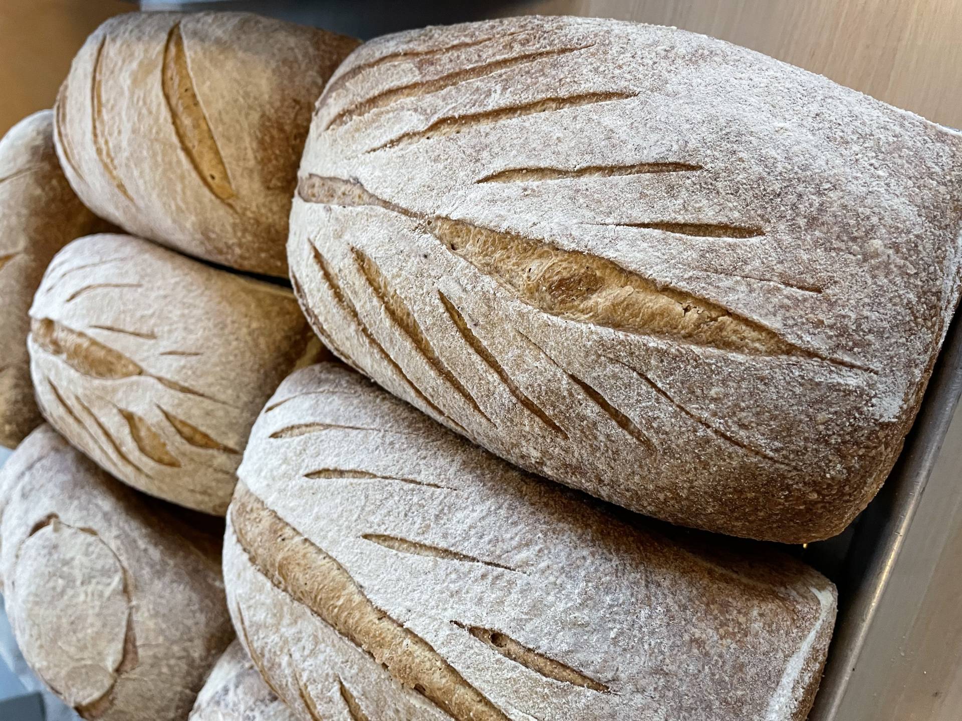 Sourdough Bread