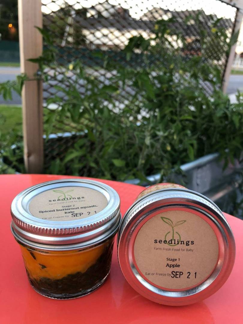 Seedlings Baby Food (Stage 1--$8 for 2 jars)
