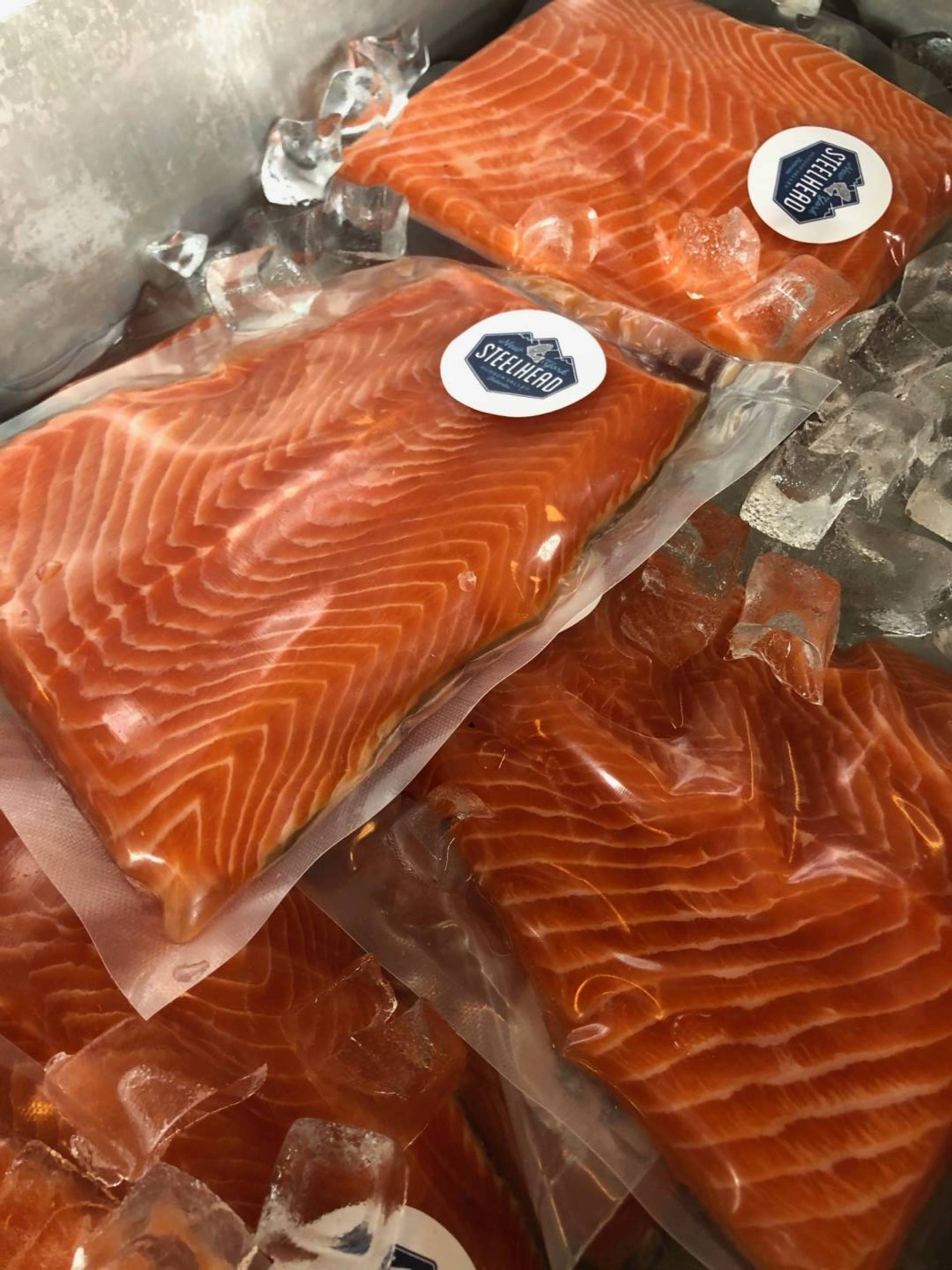 Steelhead Fillet