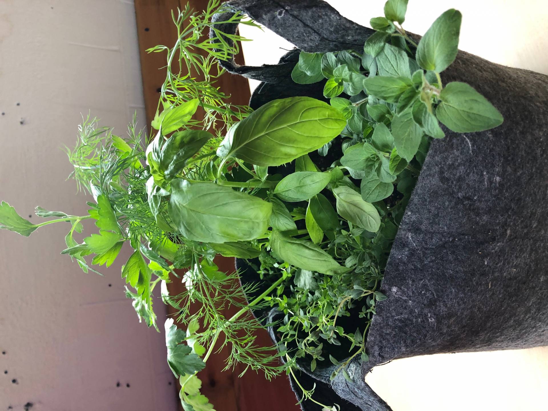 Herb Garden ($25