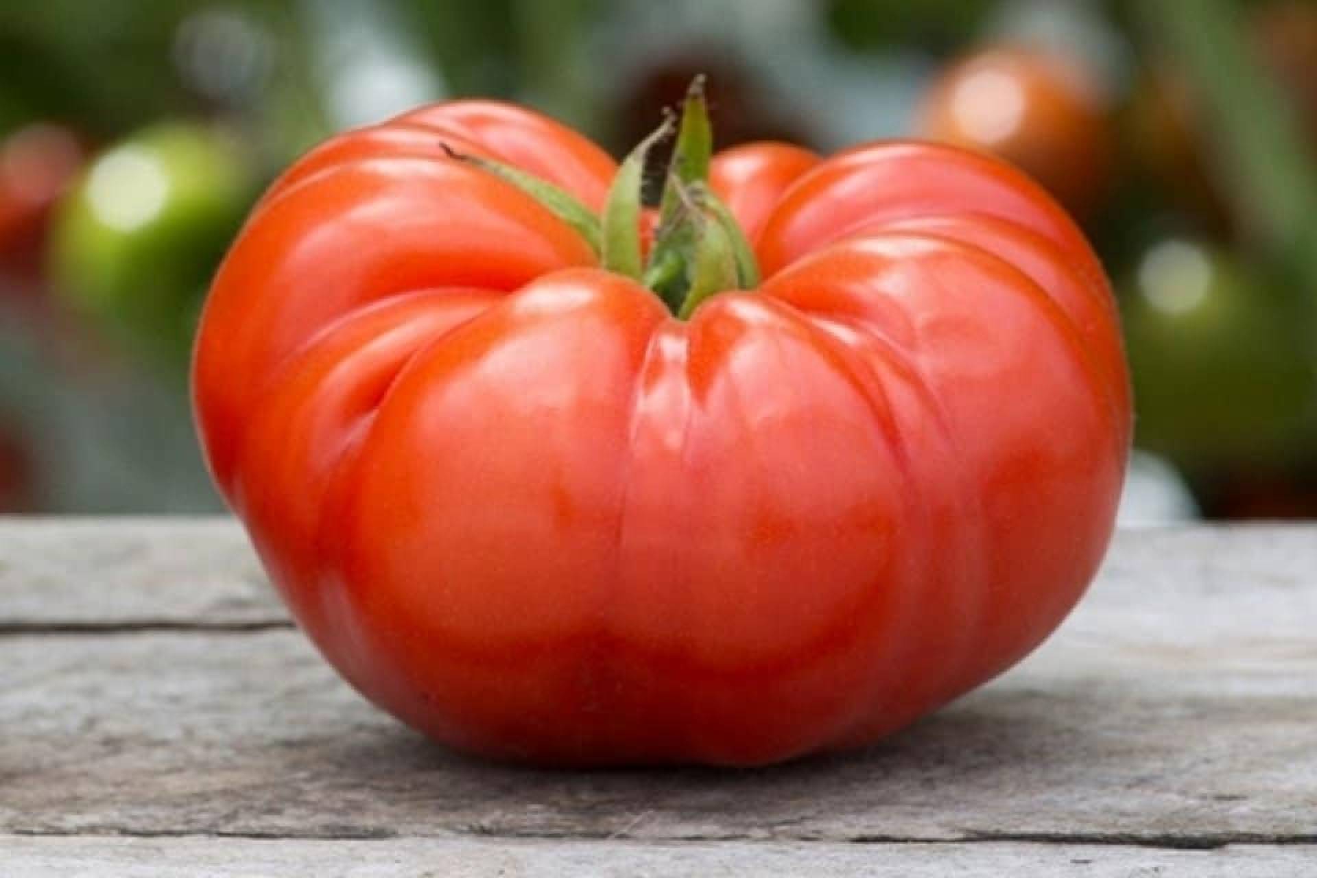 Beefsteak Tomatoes (Four for $10)