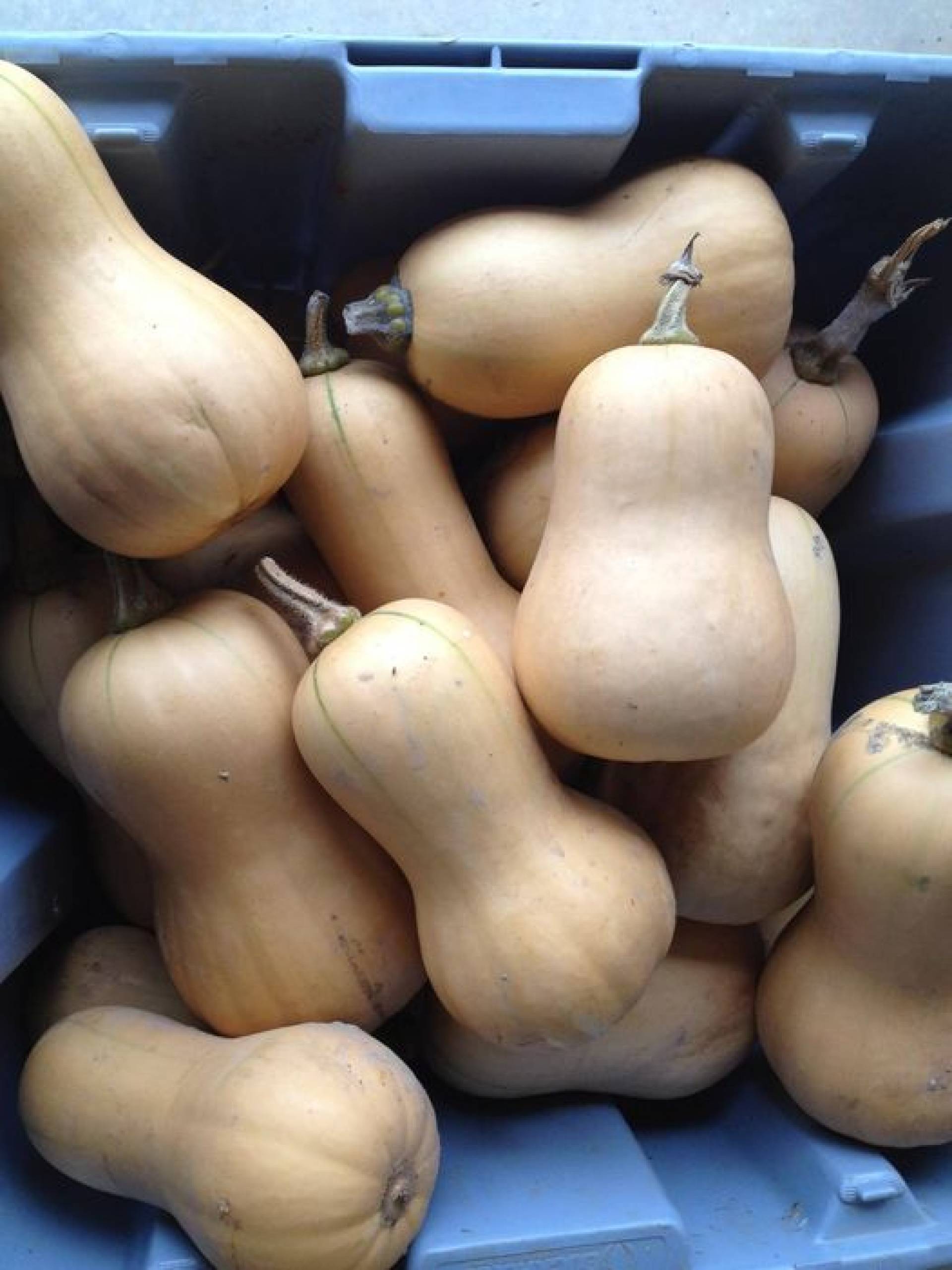 Butternut Barley Risotto 1toGo